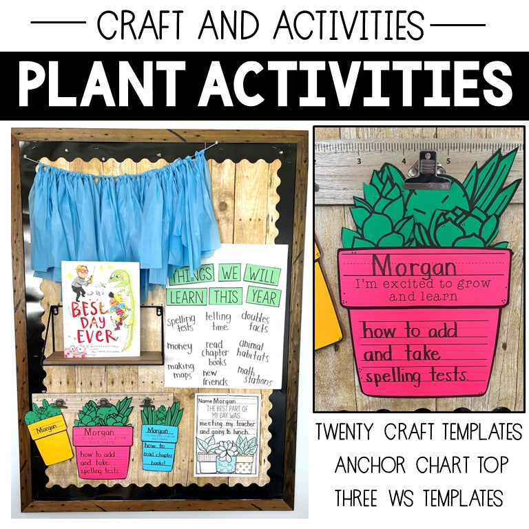 Plant Activities